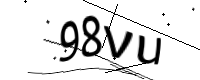 captcha_img