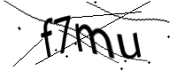 captcha_img