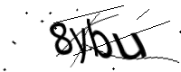 captcha_img