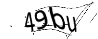 captcha_img