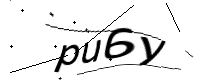 captcha_img