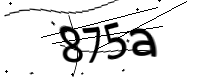 captcha_img