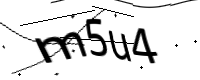 captcha_img