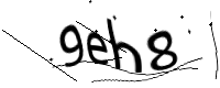 captcha_img