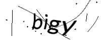 captcha_img