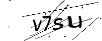 captcha_img