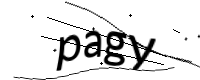 captcha_img