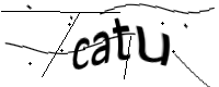captcha_img