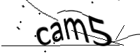 captcha_img