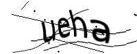 captcha_img