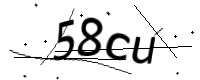 captcha_img