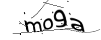 captcha_img