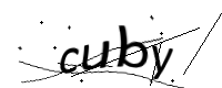 captcha_img